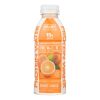 Ready Water Protein – Orange Mango, 16.9 fl oz, 12-Count Case