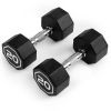 Octagon Dumbbell – Commercial & Household Fitness Weight