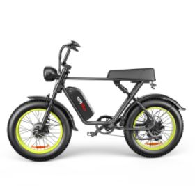 C91-20 Inch Dual-drive High-speed Electric Bike (Option: B)